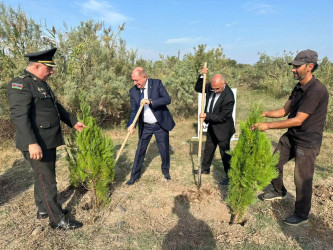 27 Sentyabr – Anım Gününə həsr olunmuş ağacəkmə aksiyası keçirilmişdir