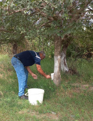 “Konstitusiya və Suverenlik İli” çərçivəsində iməcilik işləri davam etdirilir