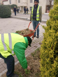 Beyləqanda mövsümə uyğun yaşıllaşdırma işləri davam etdirilir