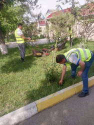 Beyləqanda abadlıq və təmizlik işləri mütəmadi olaraq davam etdirilir