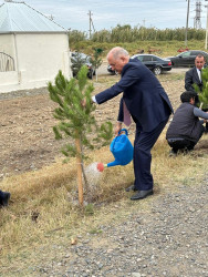 27 sentyabr - Anım Günü münasibəti ilə Beyləqan rayonunda ağacəkmə aksiyası keçirilmişdir.