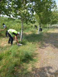 Rayon ərazisində iməcilik işləri davam etdirilir