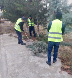 Beyləqan rayonunda abadlıq işləri mütəmadi olaraq davam etdirilir