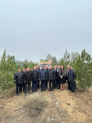 Beyləqan rayonunda növbəti dəfə genişmiqyaslı ağacəkmə aksiyası keçirilmişdir.