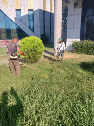 Beyləqan rayonu ərazisində abadlıq, təmizlik və yaşıllaşdırma işləri planlı şəkildə davam etdirilir.