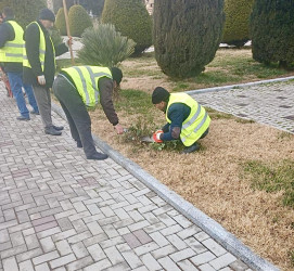 Beyləqanda əlverişli hava şəraiti ilə əlaqədar olaraq yaşıllaşdırma tədbirlərinə başlanılıb.