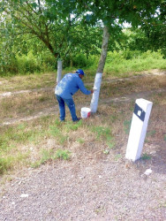 Rayon ərazisində iməcilik işləri davam etdirilir