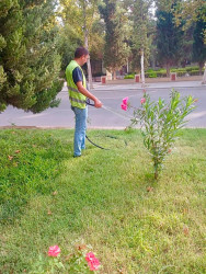 Beyləqanda abadlıq və təmizlik işləri mütəmadi davam etdirilir