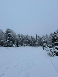 Beyləqan rayonu 2026-cı ilin ilk qarını qarşılayıb