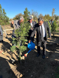 Zəfər Günü münasibətilə ağacəkmə aksiyası keçirilib