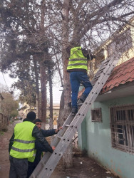 Beyləqanda abadlıq və bərpa-quruculuq işi davam etdirilir