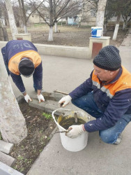 Beyləqan rayonunda təmir və abadlıq işləri davam etdirilir