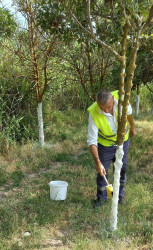 “Konstitusiya və Suverenlik İli” çərçivəsində iməcilik işləri davam etdirilir