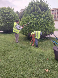 Beyləqan rayonunda abadlıq və təmizlik işləri davam etdirilir