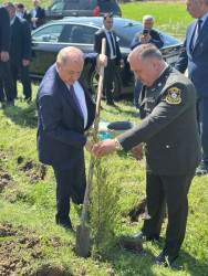Beyləqanda “Şəhərsalma və Memarlıq İli” çərçivəsində ağacəkmə aksiyası keçirilib