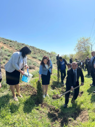 Beyləqanda “Şəhərsalma və Memarlıq İli” çərçivəsində ağacəkmə aksiyası keçirilib