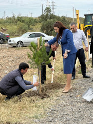 27 sentyabr - Anım Günü münasibəti ilə Beyləqan rayonunda ağacəkmə aksiyası keçirilmişdir.