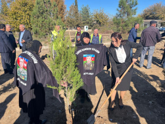 Zəfər Günü münasibətilə ağacəkmə aksiyası keçirilib