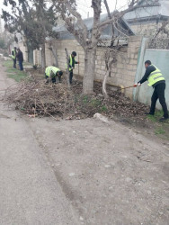 Daha bir neçə küçədə təmizlik və abadlıq işləri aparılmışdır.