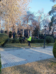 Beyləqan Rayon İcra Hakimiyyətinin təşəbbüsü ilə Beyləqan şəhərinin prospekt və küçələrində abadlıq və təmizlik işləri davam etdirilir.