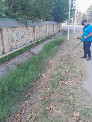 Beyləqan şəhərinin bir neçə küçəsində abadlıq-təmizlik işləri görülüb