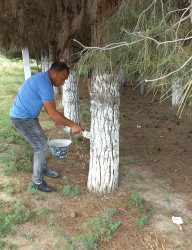 “Konstitusiya və Suverenlik İli” çərçivəsində iməcilik işləri davam etdirilir