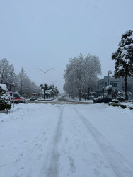 Beyləqan rayonu 2026-cı ilin ilk qarını qarşılayıb