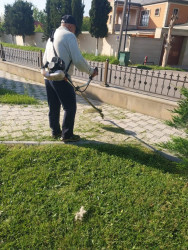 Beyləqanda təmizlik və abadlıq işləri mütəmadi həyata keçirilir.