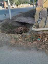 Beyləqan şəhərinin bir neçə küçəsində abadlıq-təmizlik işləri görülüb