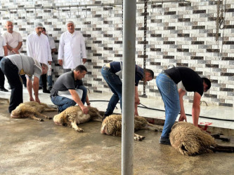 Beyləqanda müasir ət kəsim məntəqəsinin açılışı olub