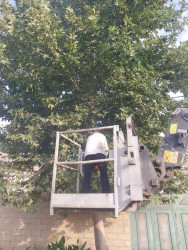 Beyləqan şəhərində abadlıq işləri davam etdirilir.