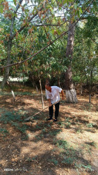 Beyləqanda ümumrayon iməcilik aksiyası təşkil olunub