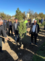 Zəfər Günü münasibətilə ağacəkmə aksiyası keçirilib