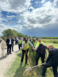 “Şəhərsalma və Memarlıq İli” çərçivəsində Beyləqan rayonu ərazisində ağacəkmə aksiyaları davam etdirilir.