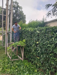 Beyləqan rayonu ərazisində abadlıq, təmizlik və yaşıllaşdırma işləri planlı şəkildə davam etdirilir.