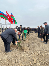 Beyləqan rayonunda “Gələcəyə nəfəs ol” devizi altında kütləvi ağacəkmə aksiyası keçirildi.