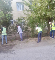 Şəhid Şamil Həsənov küçəsində təmizlik və abadlıq işləri aparılıb