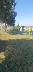 Beyləqan rayonu ərazisində abadlıq, təmizlik və yaşıllaşdırma işləri planlı şəkildə davam etdirilir.