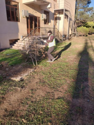 Beyləqan Rayon İcra Hakimiyyətinin təşəbbüsü ilə Beyləqan şəhərinin prospekt və küçələrində abadlıq və təmizlik işləri davam etdirilir.