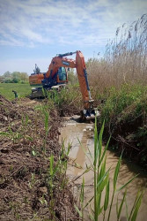 Beyləqanda suvarma infrastrukturunun yaxşılaşdırılması istiqamətində ardıcıl tədbirlər görülür