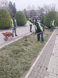 Beyləqanda mövsümə uyğun yaşıllaşdırma işləri davam etdirilir