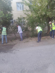 Beyləqan şəhərinin bu küçələrində təmizlik və abadlıq işləri aparılıb