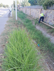Beyləqan şəhərinin bir neçə küçəsində abadlıq-təmizlik işləri görülüb
