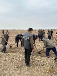 Beyləqan rayonunda “Gələcəyə nəfəs ol” devizi altında kütləvi ağacəkmə aksiyası keçirildi.