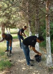 “Konstitusiya və Suverenlik İli” çərçivəsində iməcilik işləri davam etdirilir