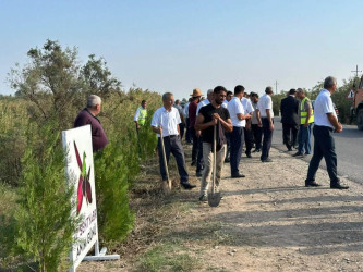 27 Sentyabr – Anım Gününə həsr olunmuş ağacəkmə aksiyası keçirilmişdir