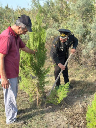 27 Sentyabr – Anım Gününə həsr olunmuş ağacəkmə aksiyası keçirilmişdir