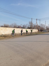 Beyləqanda “Yeni ilə təmiz mühitlə” devizi ilə ümumrayon iməcliyi keçirilib