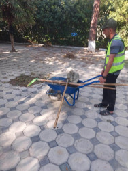 Beyləqan rayonunda abadlıq və təmizlik işləri davam etdirilir
