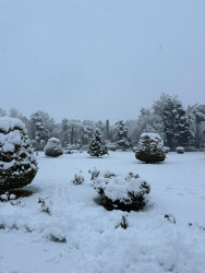 Beyləqan rayonu 2026-cı ilin ilk qarını qarşılayıb